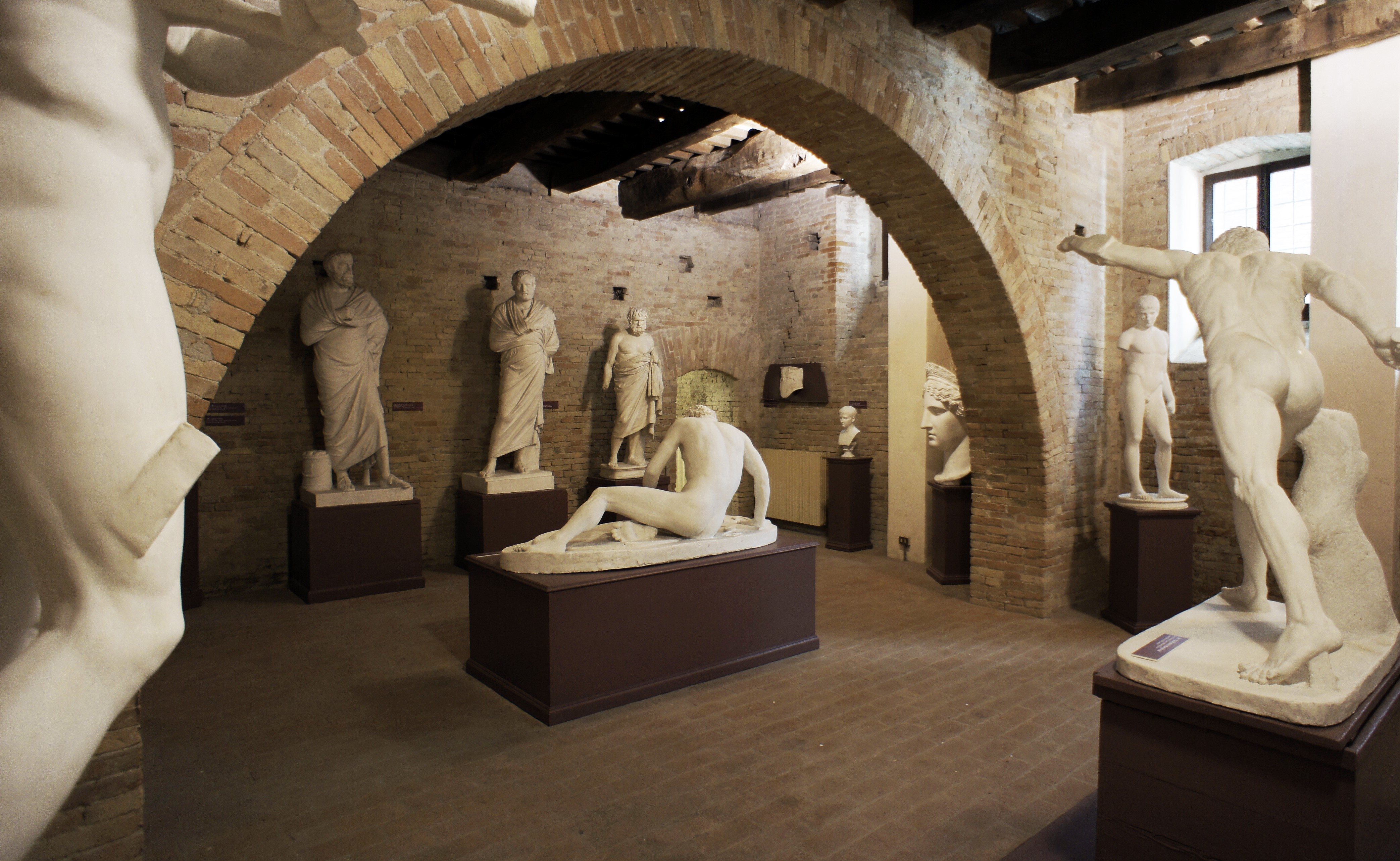 Il Museo dei Gessi dell’Università di Urbino: …sai perché?